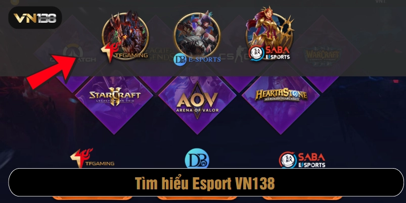 Esport VN138 là một trong nhiều sảnh cược hấp dẫn
