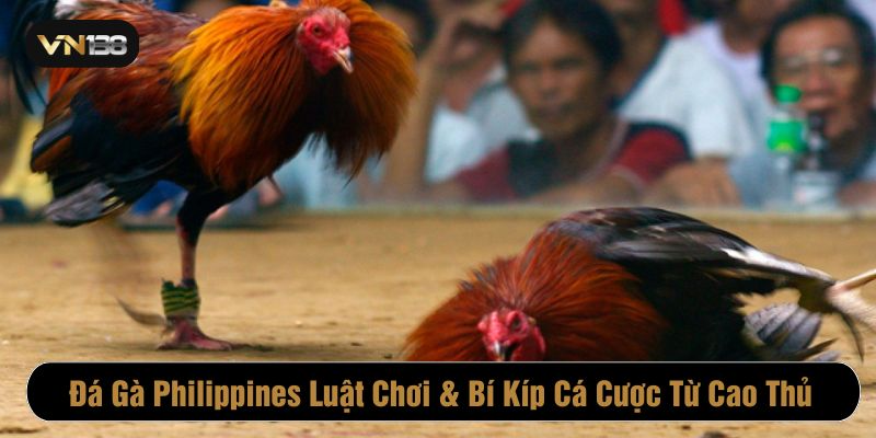 Đá gà Philippine