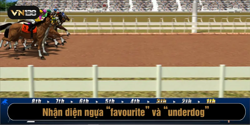 Nhận diện ngựa favourite và underdog