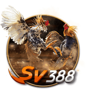 sảnh sv388 vn138 us com