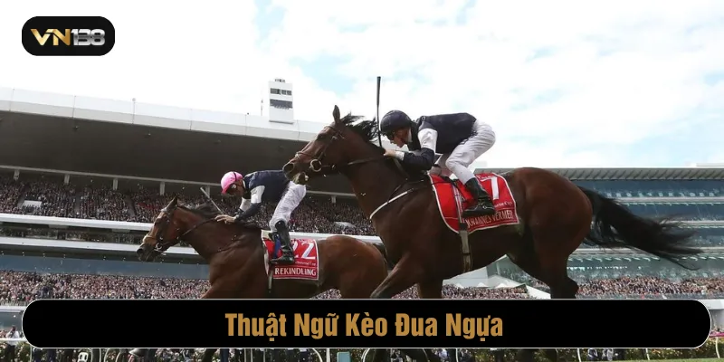 Thuật ngữ kèo đua ngựa