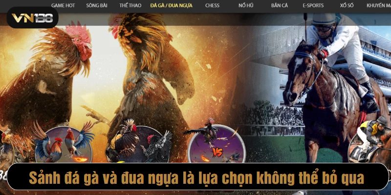 Sảnh đá gà và đua ngựa tại VN138 là lựa chọn không thể bỏ qua
